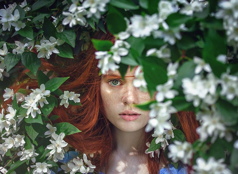 Whimsical Greens