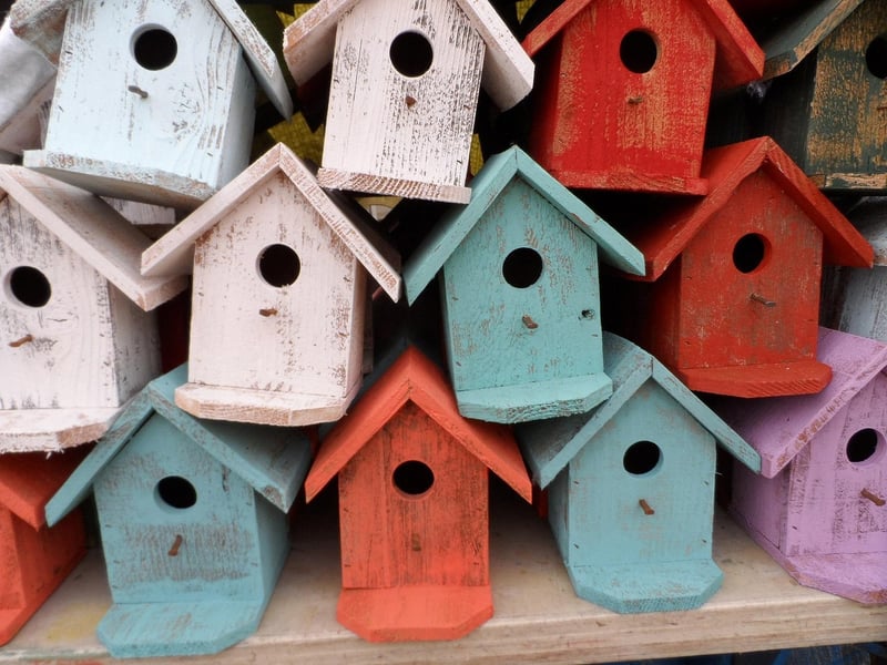 Whimsical Habitats
